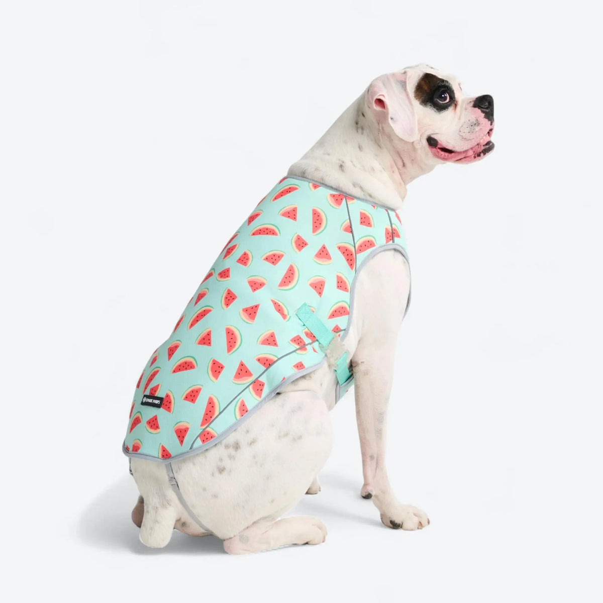 Spark Paws Chilltech Dog Cooling Vest - Summer Heat Relief, Lightweight, SPF 50 UV Sun Protection