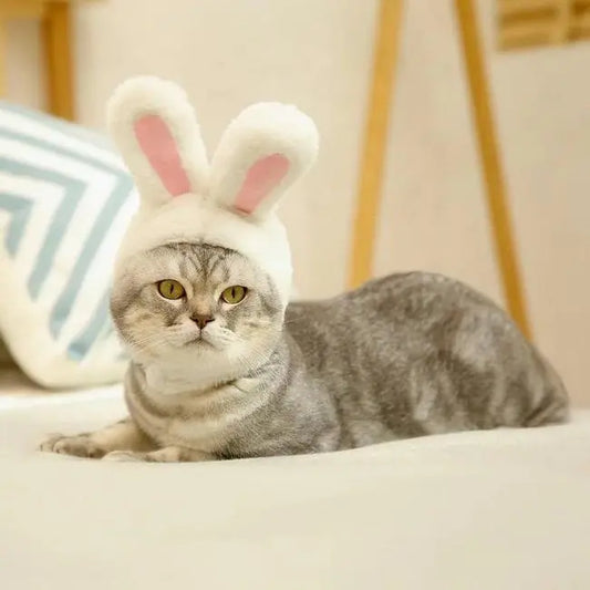 Cute Pet Hat Trio for Small Pets - Colorful cute bunny ears pet hat - Hat for dogs and cats
