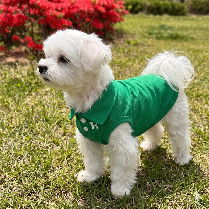 Pet Polo Shirt Vest for Small Dogs & Cats - Lightweight Breathable Polyester Fiber, Embroidered Pet Clothing Accessory for Spring Summer, Embroidery