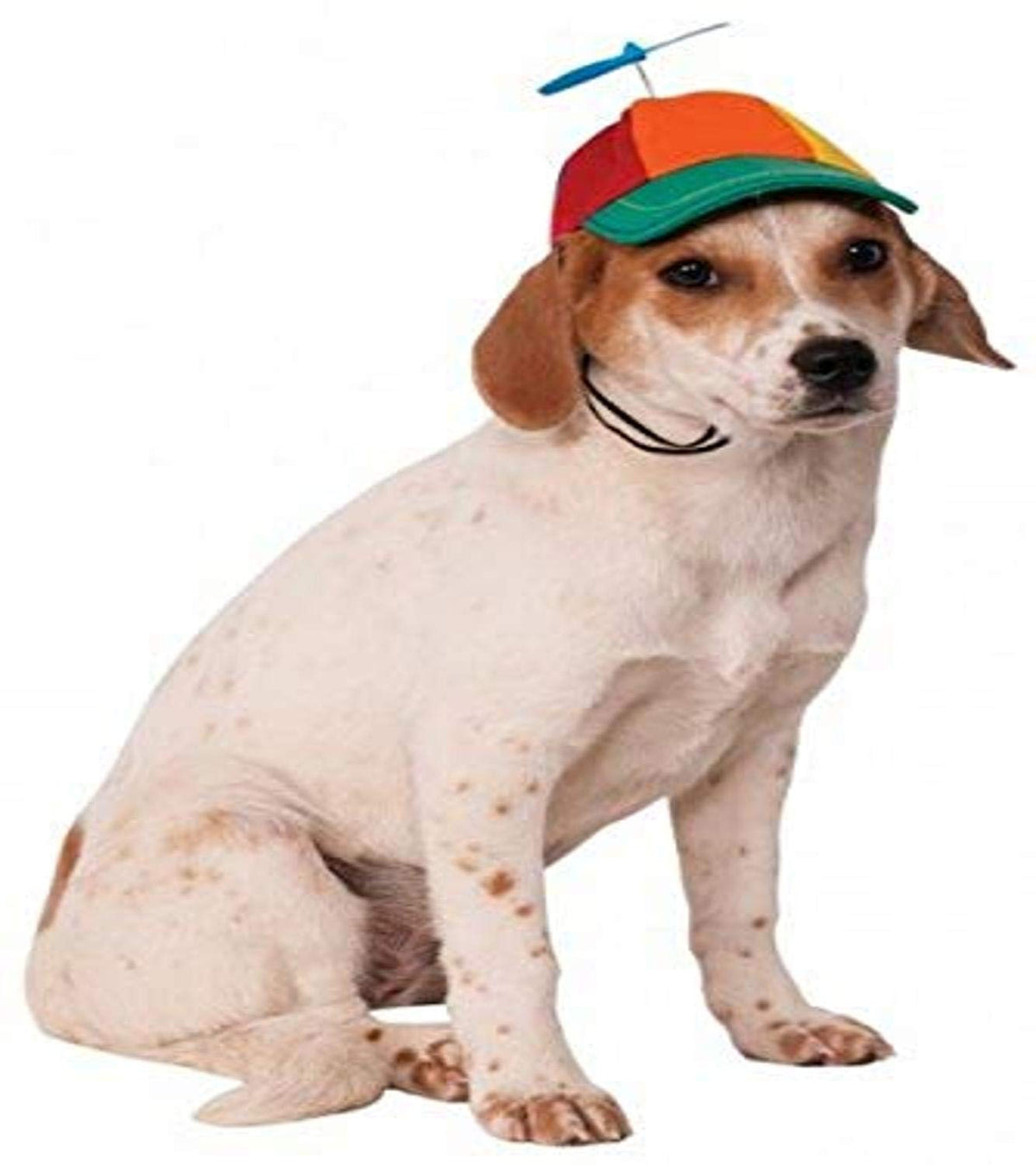 Rubies Propeller Hat Pet Hat for Dogs or Cats, S/M