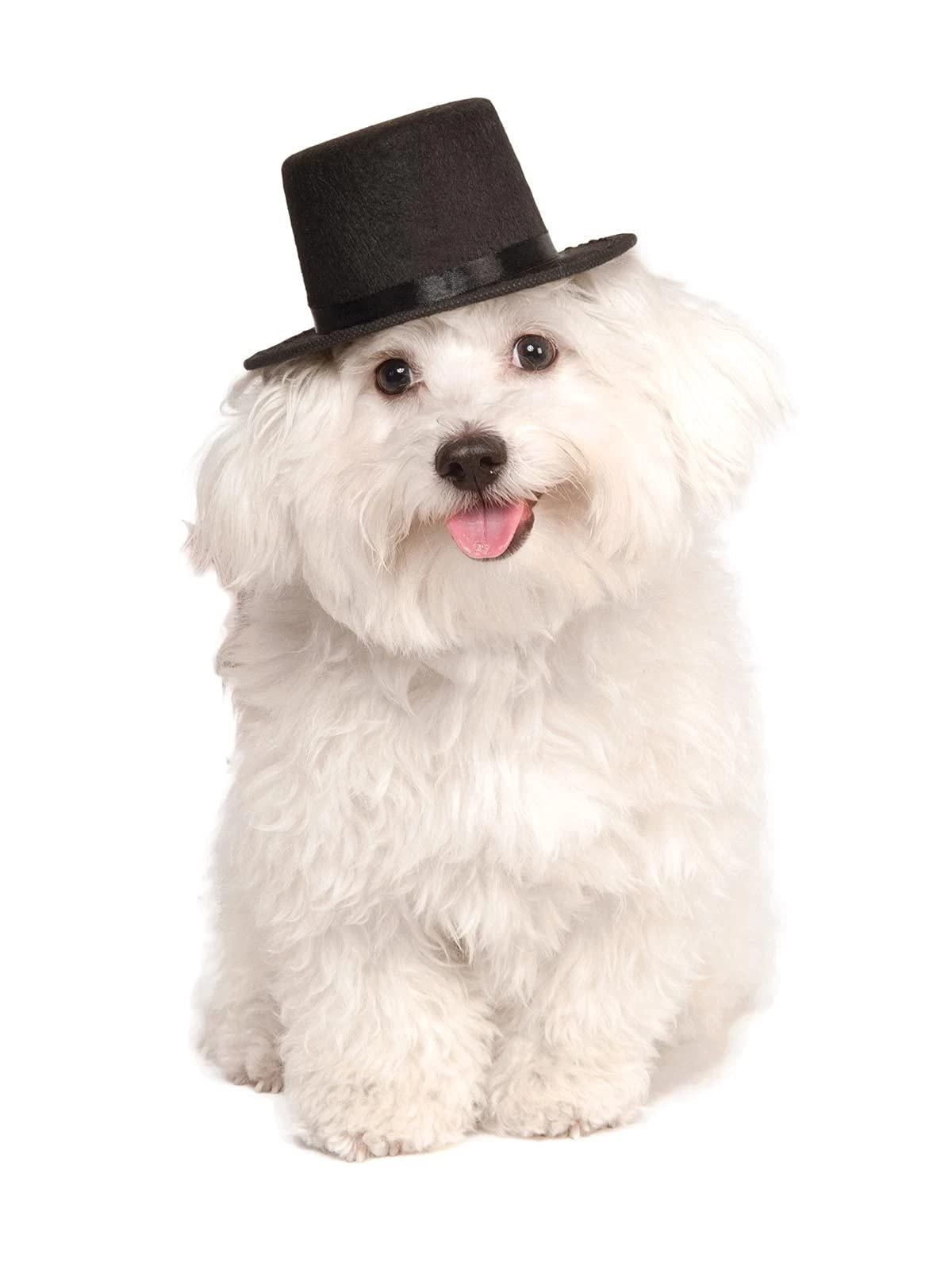 Rubies Top Hat Pet Hat for Dogs or Cats, M/L