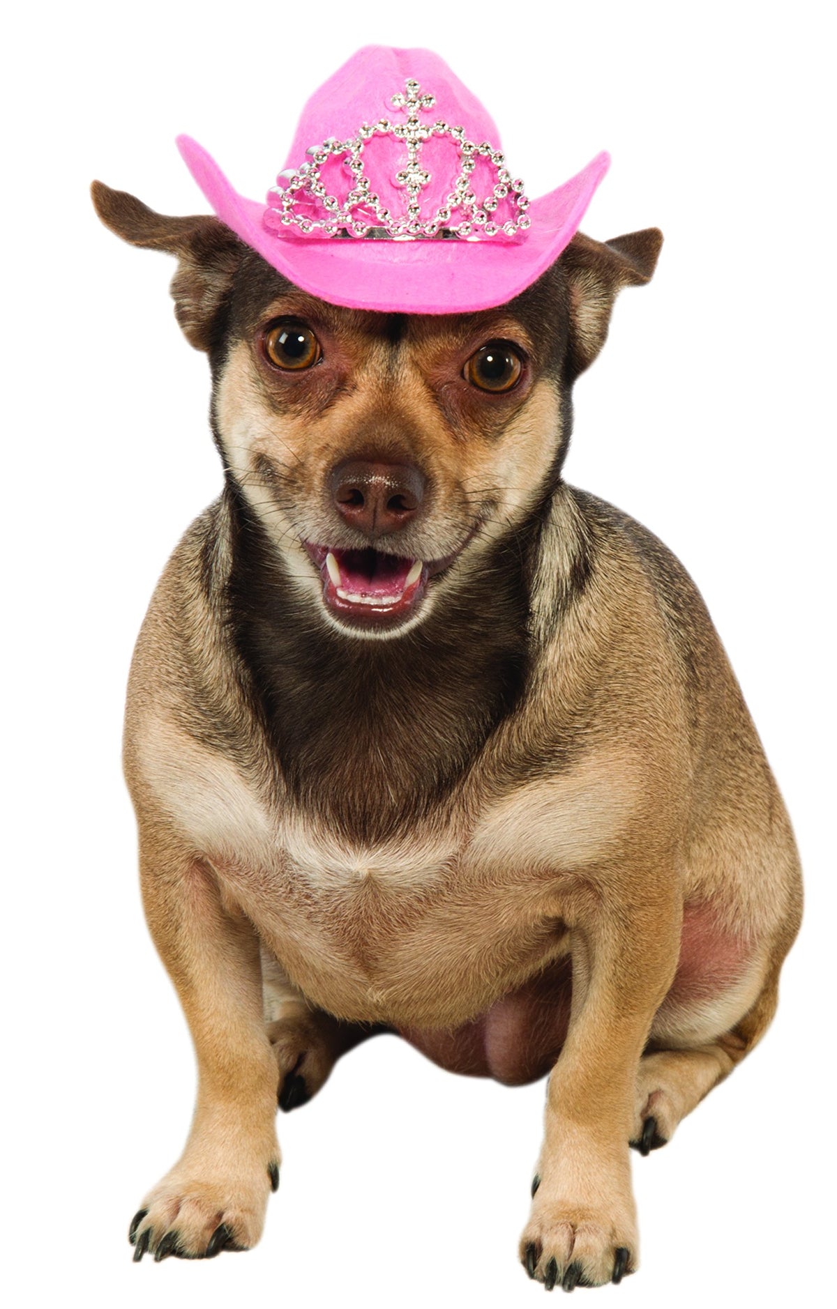 Rubies Cowgirl Pet Hat with Faux Tiara for Dogs or Cats, S/M