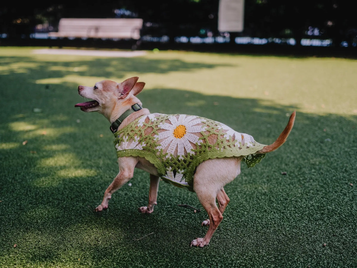 Sunshine Crochet Shirt Top by Both Tails, Made with 100% Cotton for Your Dogs Comfort