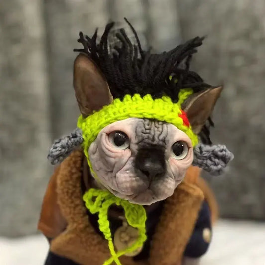 Hand-Crocheting Wool Pet Hat - S Size (Recommended for 2.5-7.5kg Pets), General Fit, All Seasons, Shrek Punk Cartoon Style Headgear for Small Sphynx Hairless Cats & Devon Dogs, Costume Decoration
