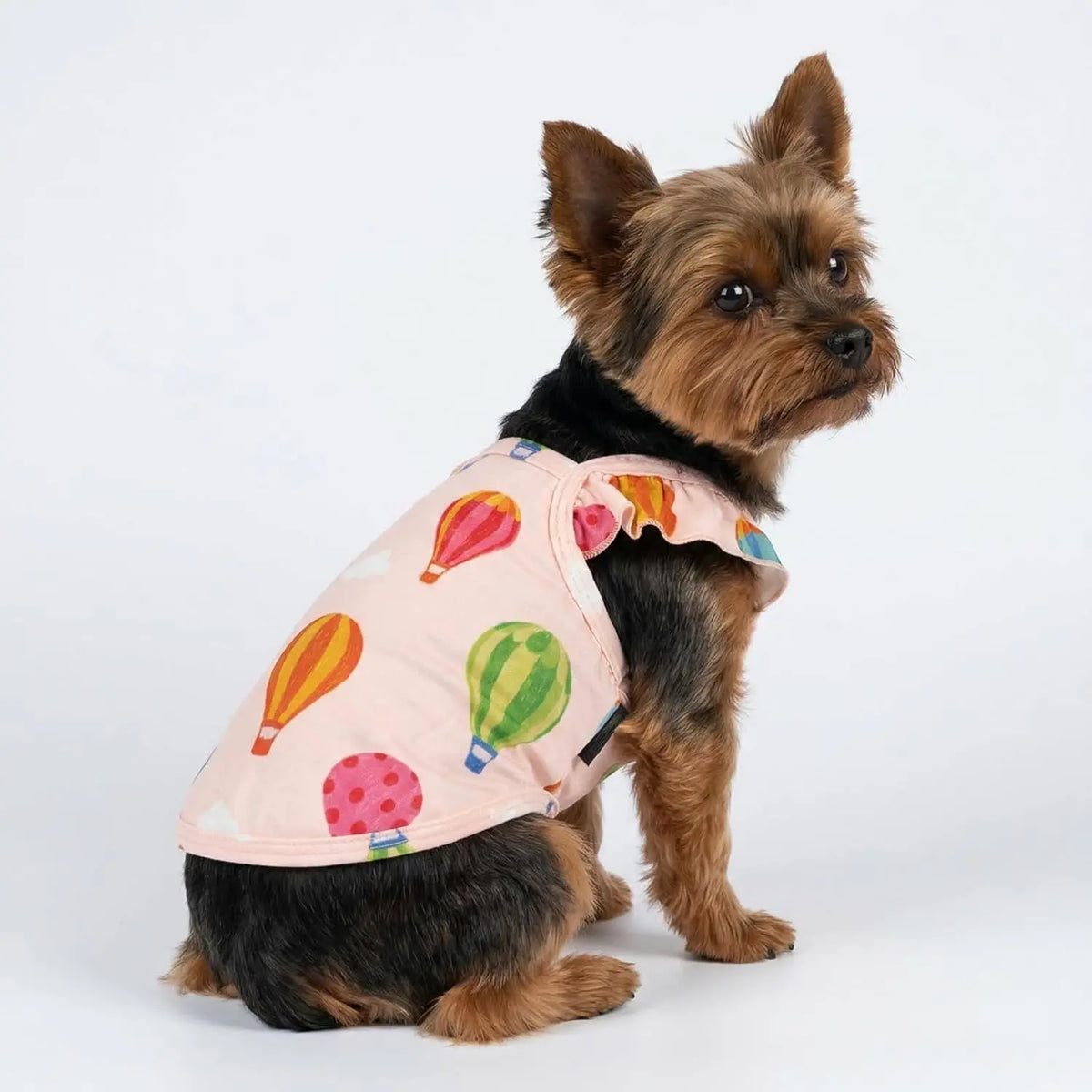 Sweet Summer Ruffle Dog Shirt – 2 Pack Hot Air Balloon & Cloud Print, Hawaiian Outfit for Small Girl Dogs, Cute Beige & Pink Pet Clothes, XXL