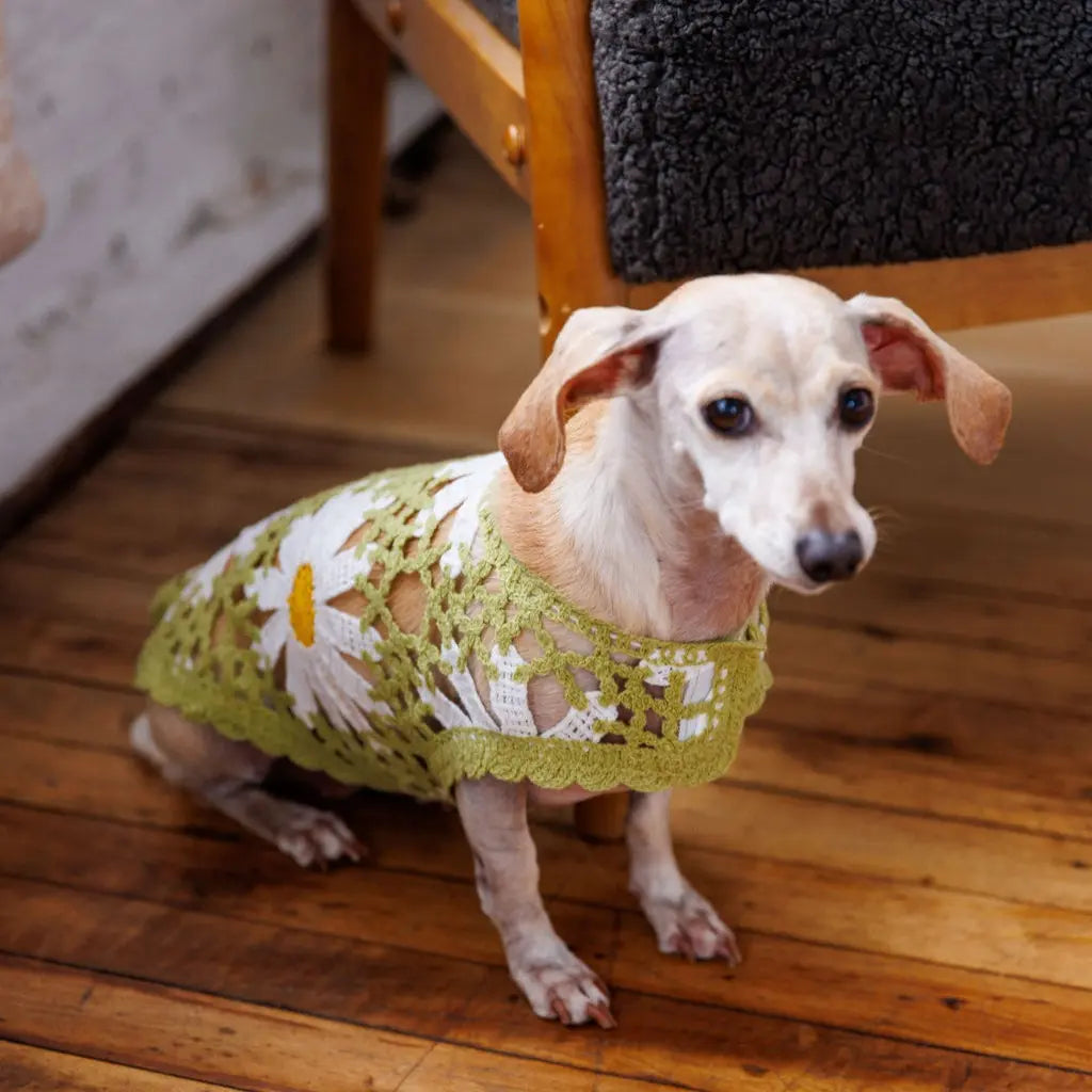 Sunshine Crochet Shirt Top by Both Tails, Made with 100% Cotton for Your Dogs Comfort