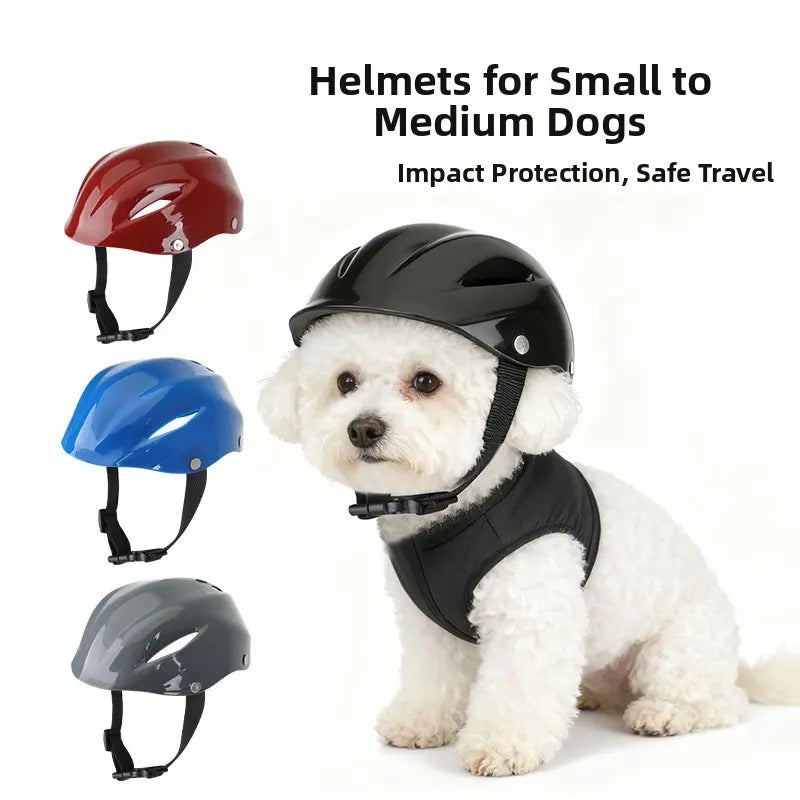 Pet Helmet for Border Collie and Corgi, Adjustable Safety Hat for Outdoor Riding, Motorcycle Cap with Visible Ears, Cat Headwear