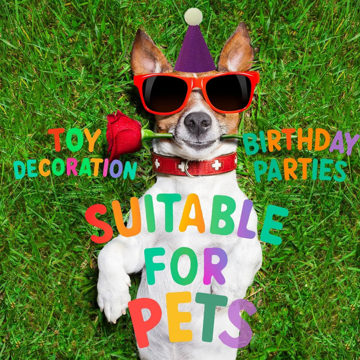 Adorable Animal Birthday Hats Set for Stuffed Toys-Pets, Festive Party Decorations, Photo Props for Animal Lovers