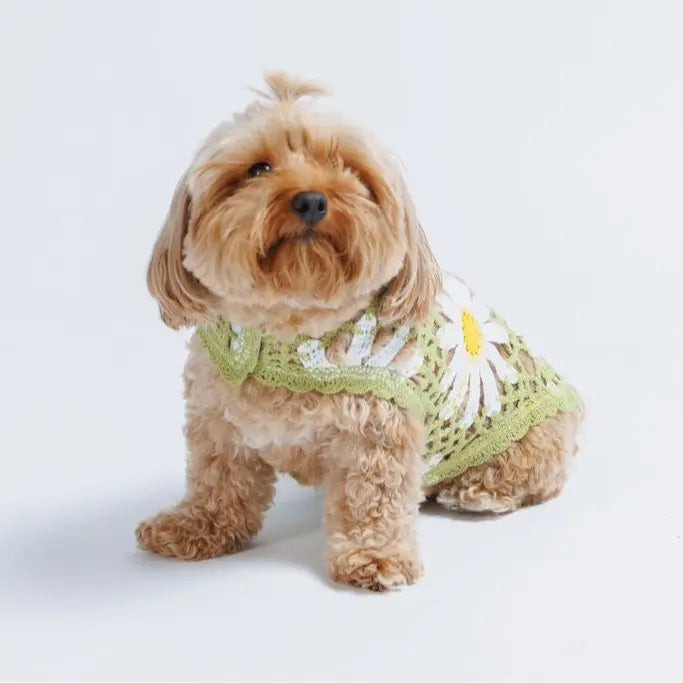 Sunshine Crochet Shirt Top by Both Tails, Made with 100% Cotton for Your Dogs Comfort
