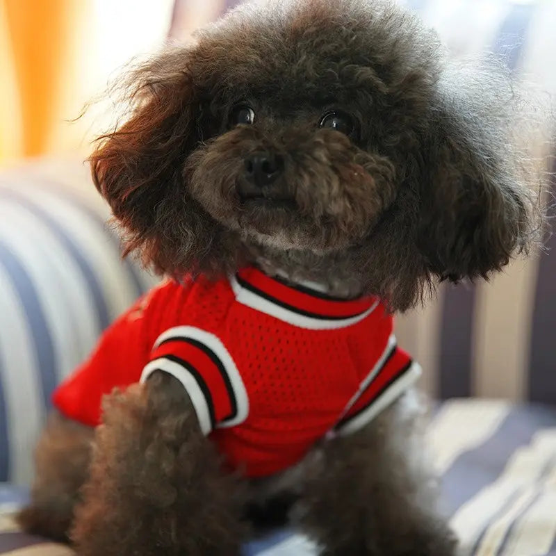 Basketball Team Uniforms, Pet Dog Cat Two-Leg Sports Style Clothes, Puppy Clothes, Suitable for Teddy Bichon Pomeranian Chihuahua Yorkie Poodle #GLOBAL PICKS