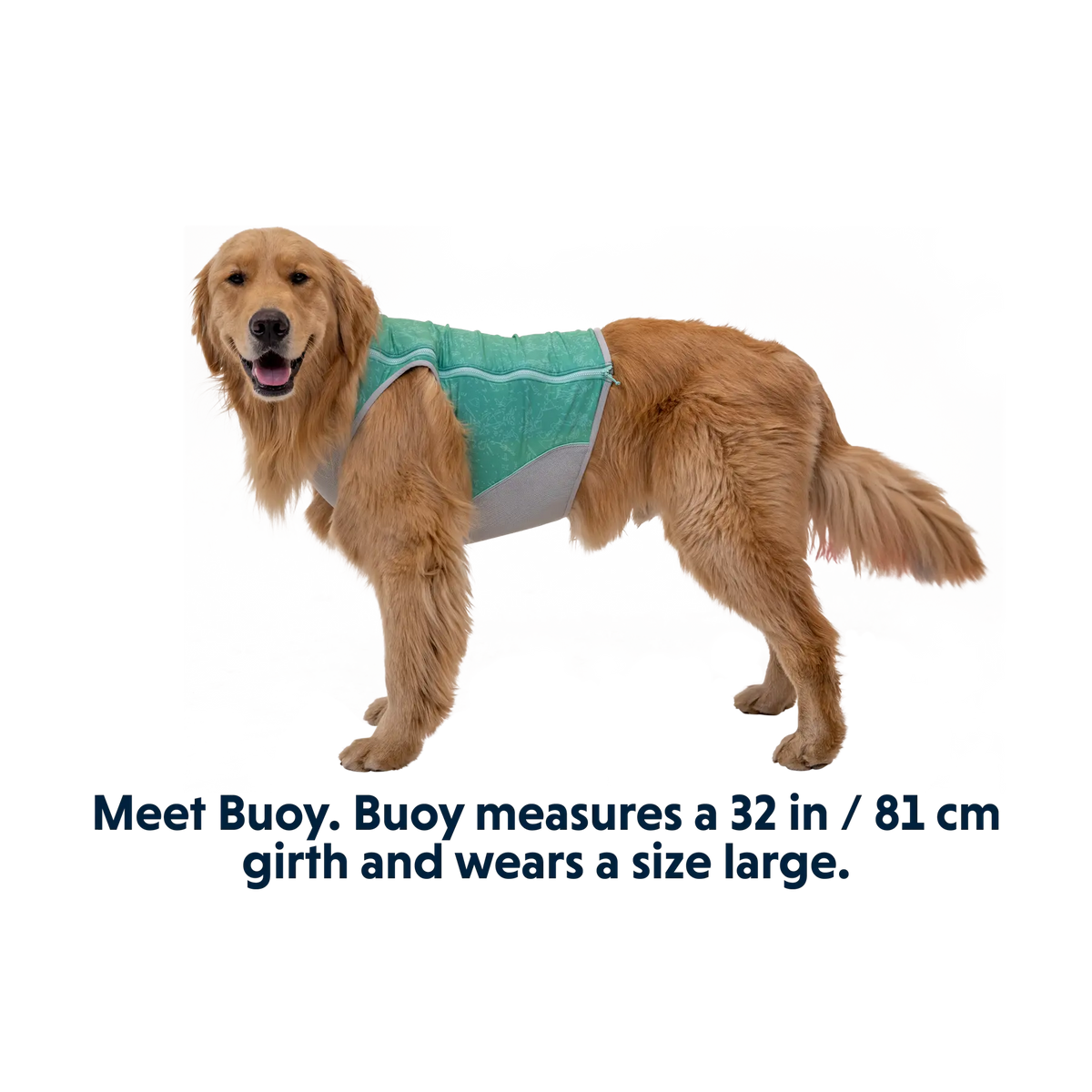 Swamp Cooler Zip™ Cooling Dog Vest