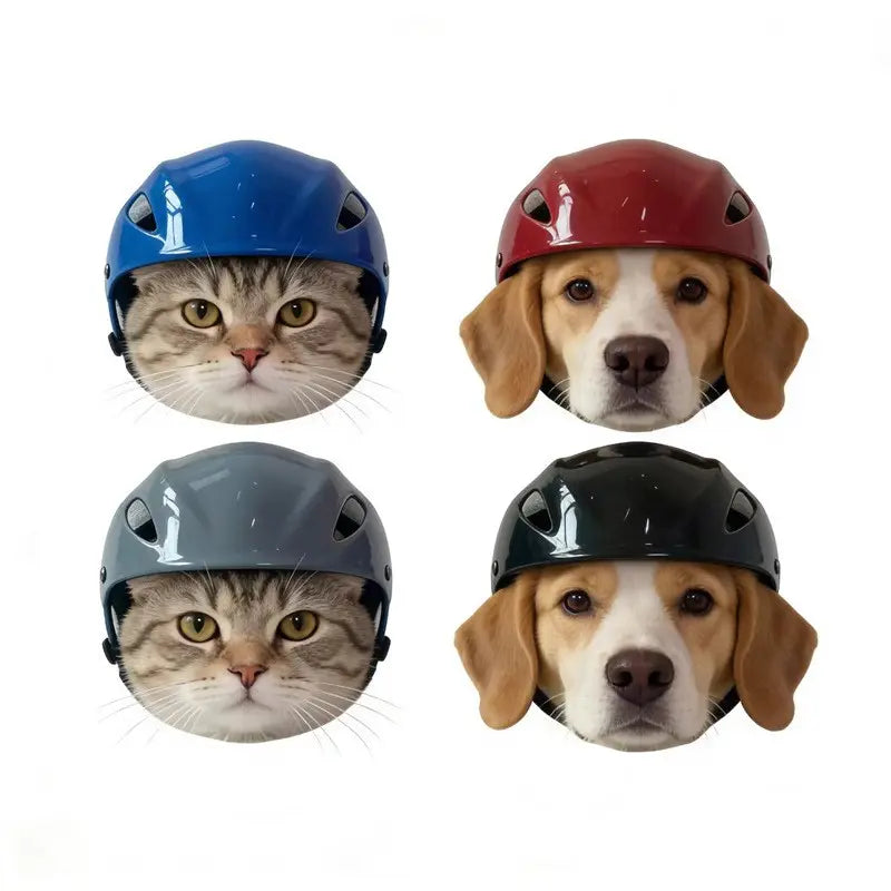 Pet Helmet for Border Collie and Corgi, Adjustable Safety Hat for Outdoor Riding, Motorcycle Cap with Visible Ears, Cat Headwear