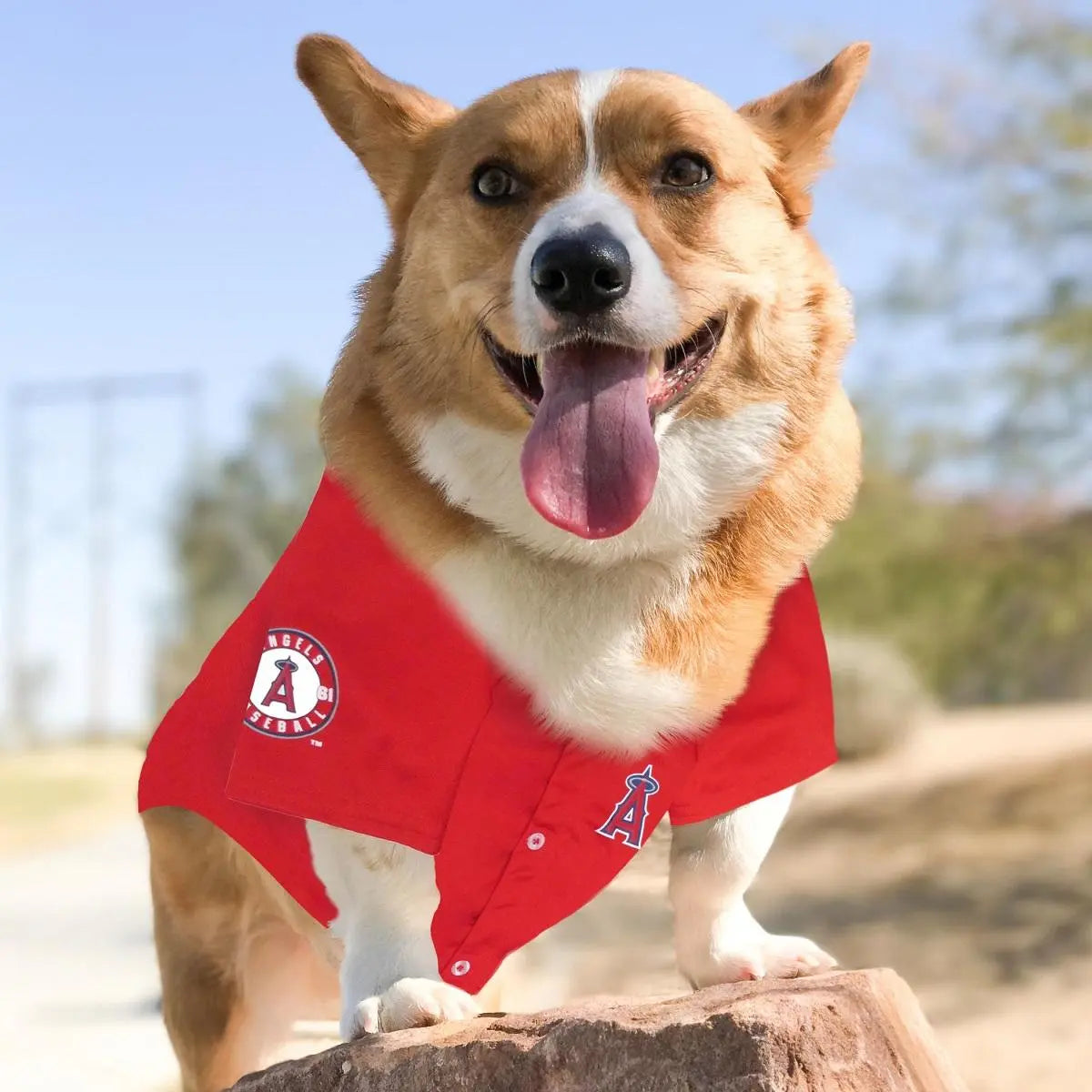 PETS FIRST MLB LOS ANGELES ANGELS JERSEY FOR DOGS