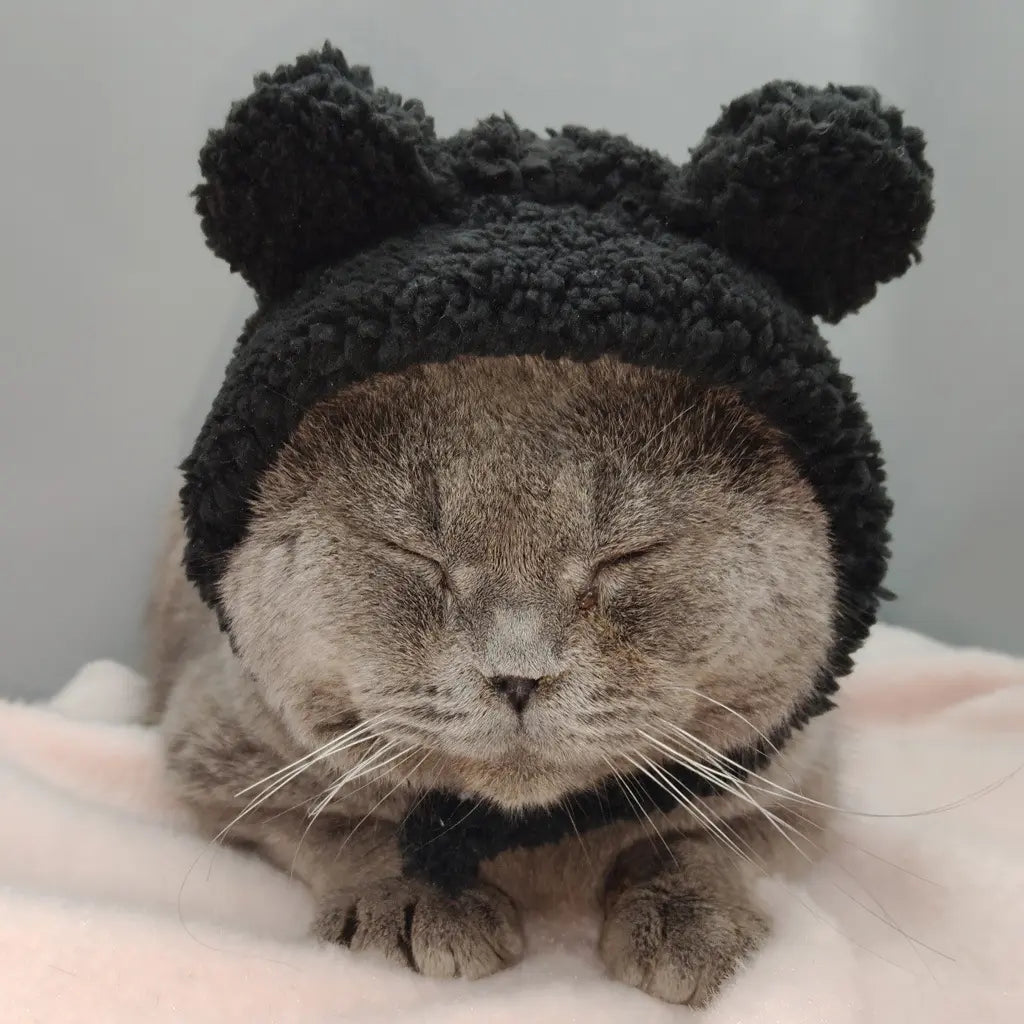 Soft bear-shaped pet head cover fits small pets like cats, Teddy and Bichon. Perfect for pet photos, lovely and versatile, great for personal use or gifting
