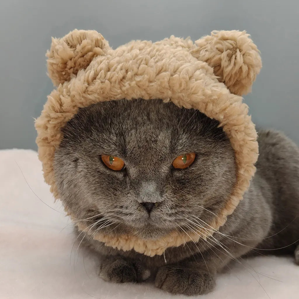 Soft bear-shaped pet head cover fits small pets like cats, Teddy and Bichon. Perfect for pet photos, lovely and versatile, great for personal use or gifting