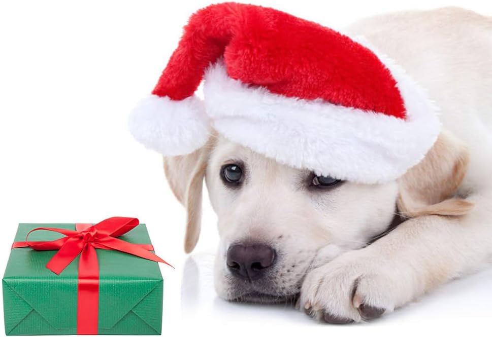 6 Pcs Dog Cat Pet Santa Hat Christmas Pet Costumes Small Santa Hat Pet Christmas Photo Props for Puppy Kitten Small Cats Dogs
