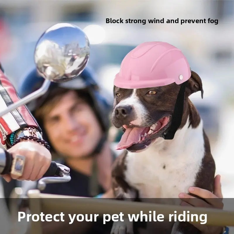 Pet Safety Outdoor Helmet for Cats & Dogs, Motorcycle Style Headgear for French Bulldogs Teddy Small Medium Breeds, Photo Props Costume Accessory