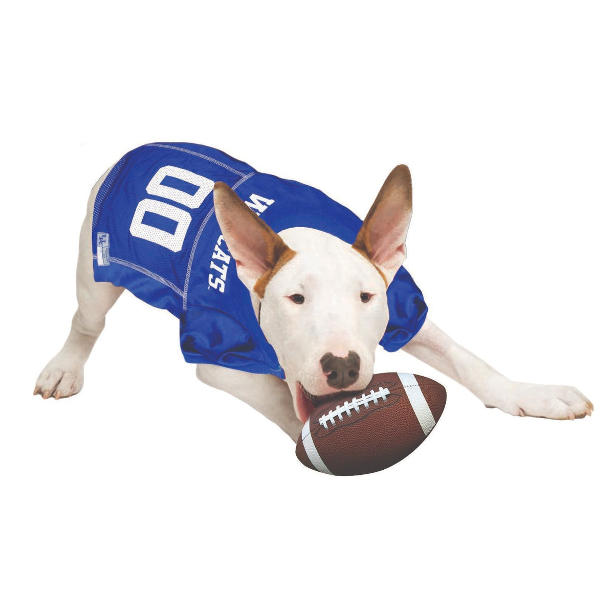 PETS FIRST NCAA KENTUCKY MESH JERSEY