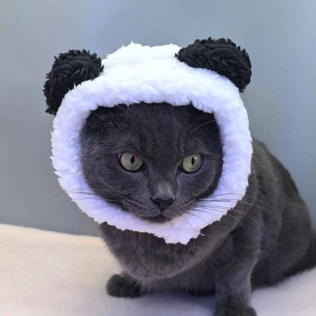 Soft bear-shaped pet head cover fits small pets like cats, Teddy and Bichon. Perfect for pet photos, lovely and versatile, great for personal use or gifting