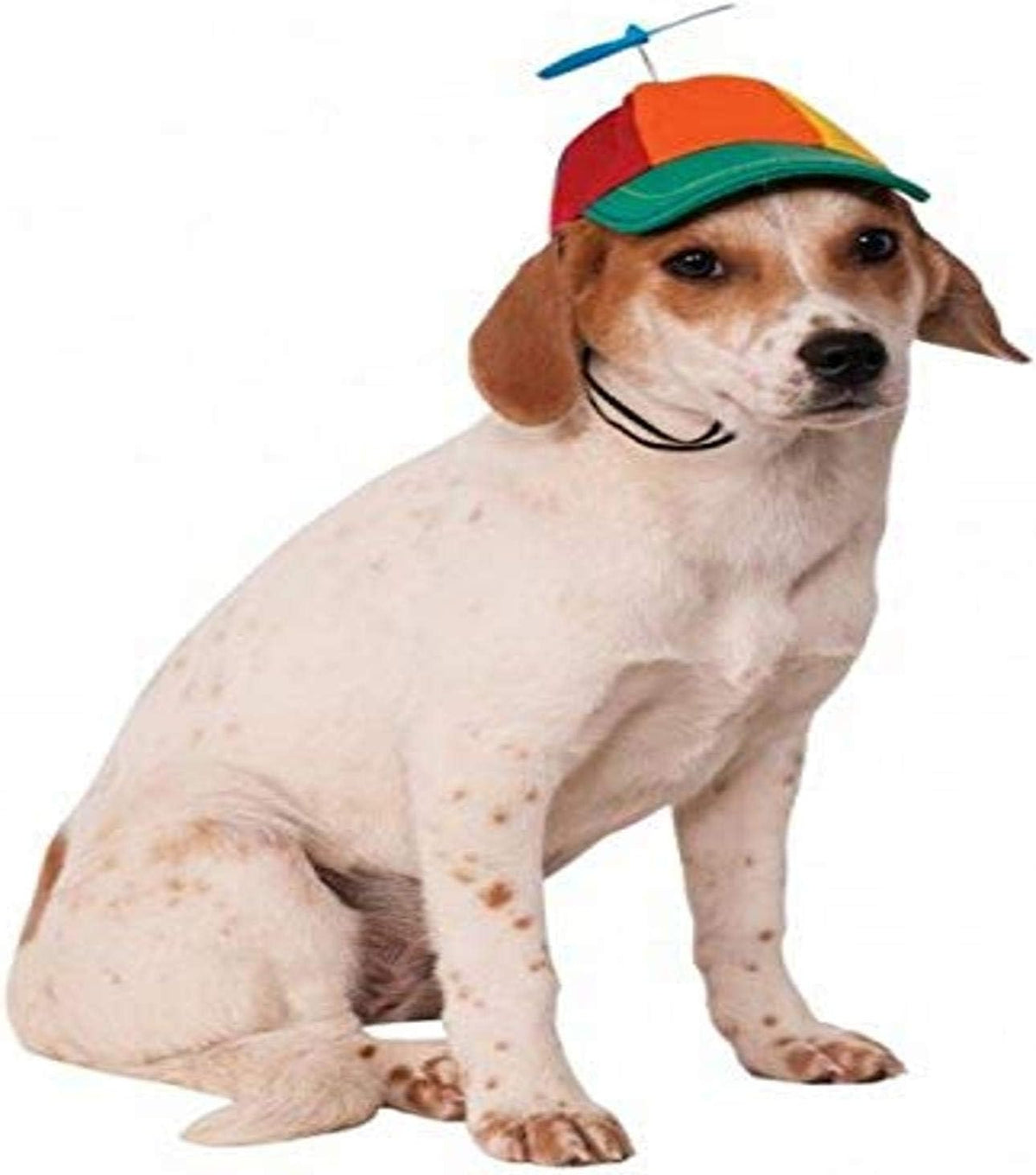 Rubies Propeller Hat Pet Hat for Dogs or Cats, S/M