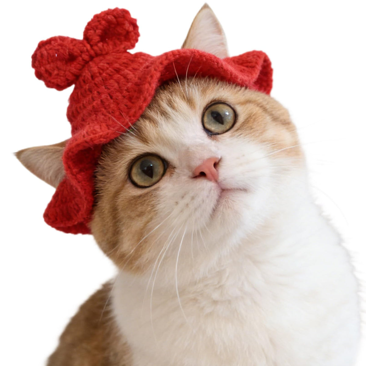 Strawberry Cat Hat, Cotton & Soft Cute Knitted Hats for Cats Birthday Party Christmas Puppy Hat for Small Pets (Red, M)