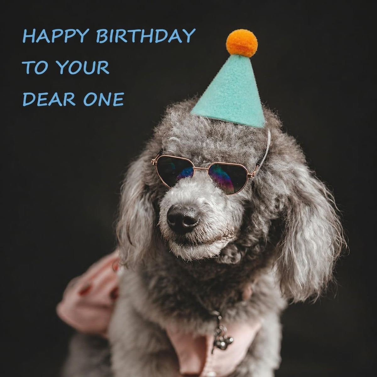 Mini Party Hats for Stuffed Animals 6 Pcs Birthday Party Cone Hats for Dogs