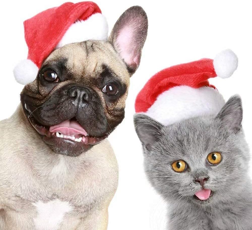 6 Pcs Dog Cat Pet Santa Hat Christmas Pet Costumes Small Santa Hat Pet Christmas Photo Props for Puppy Kitten Small Cats Dogs