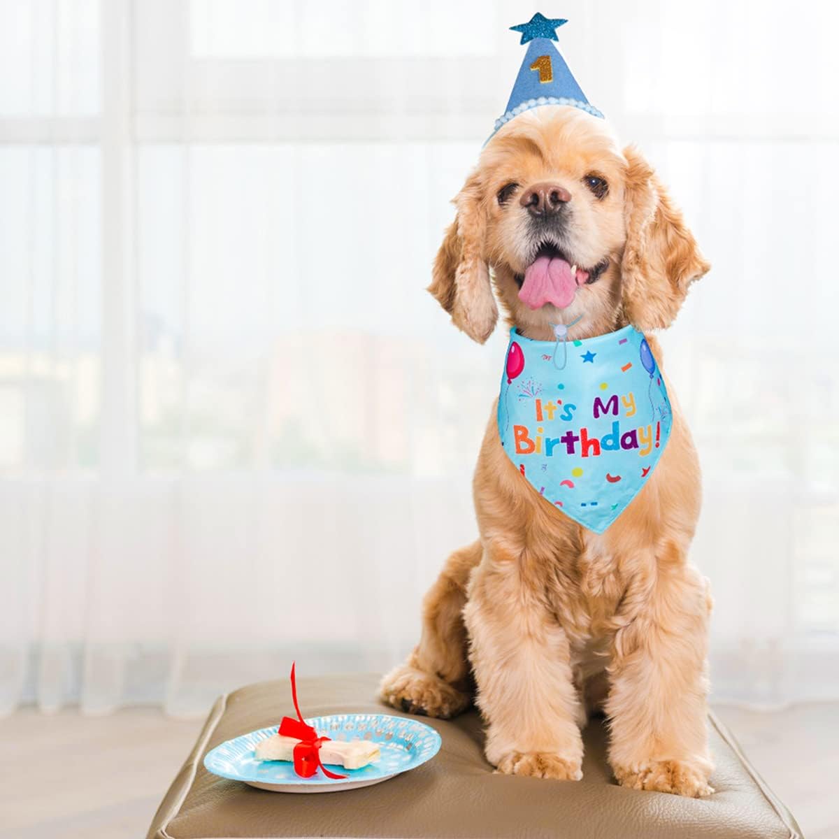 Dog Birthday Party Supplies,Dog Birthday Bandana,Dog Birthday Hat