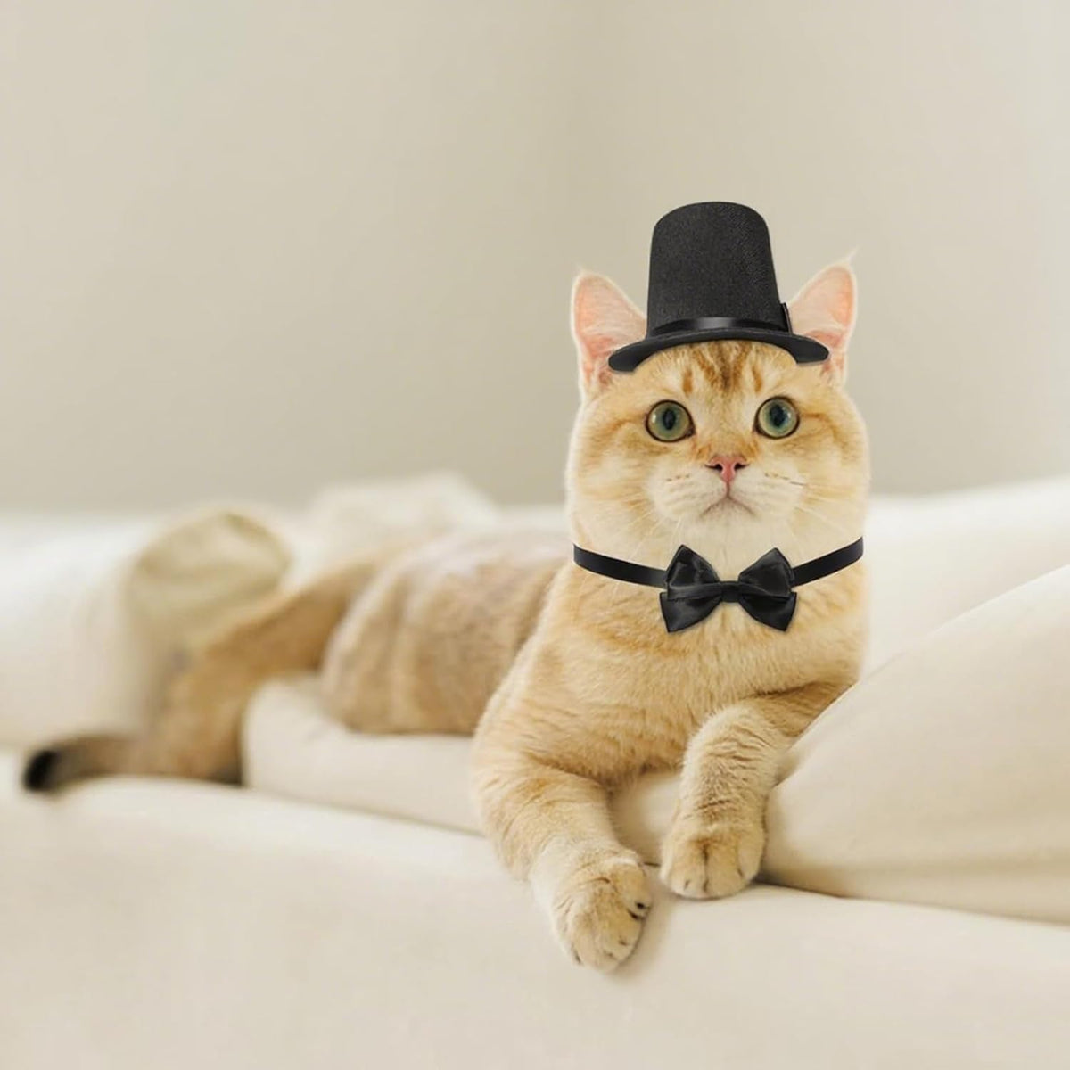 Qiansail 2Pcs Pet Formal Accessories Set Dog Top Hat with Bowtie Cat Tuxedo Necktie Costumes for Halloween Birthday Party (Black)