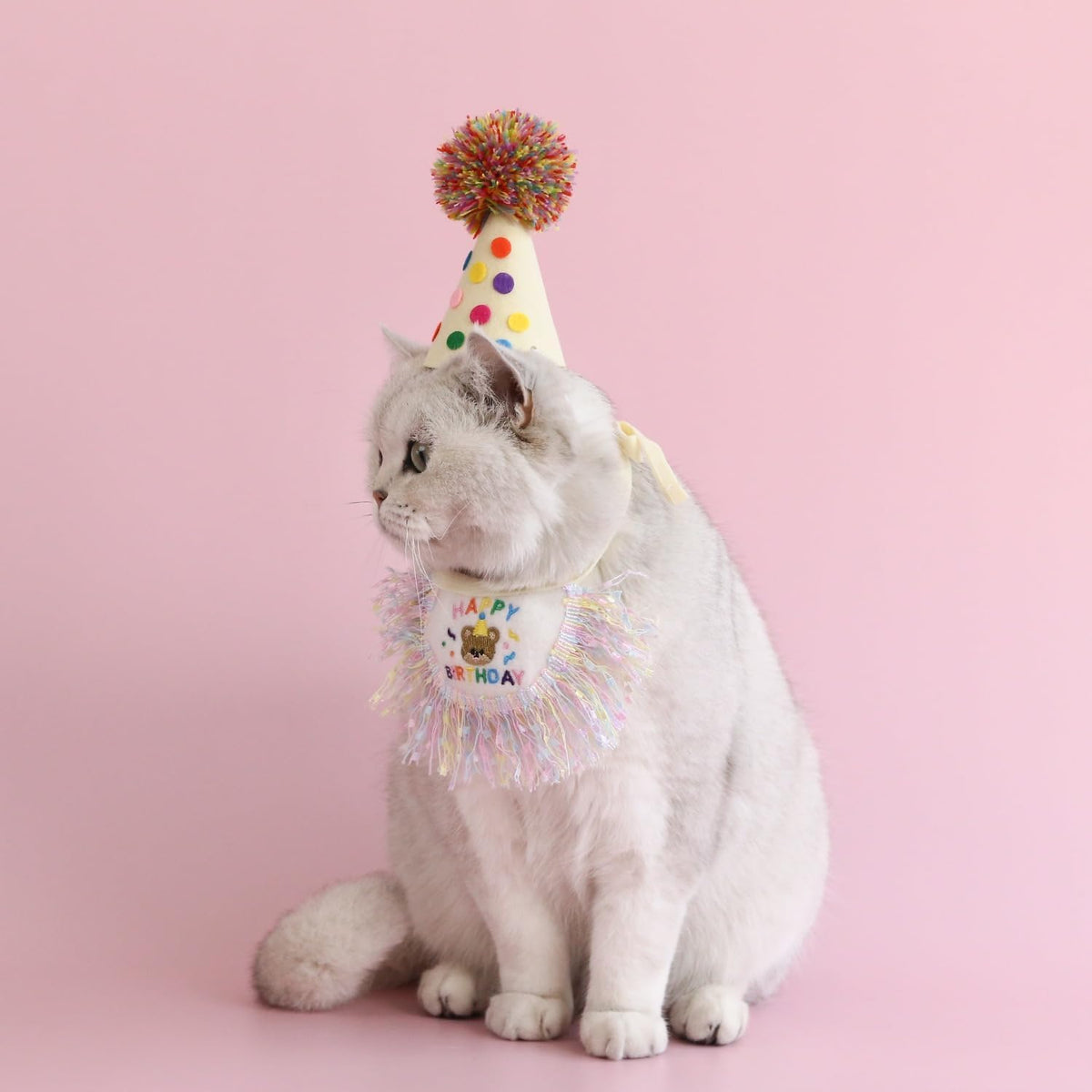 Cat Birthday Bandana Scarf and Party Hat Cute Tassel Scarf and Birthday Hat