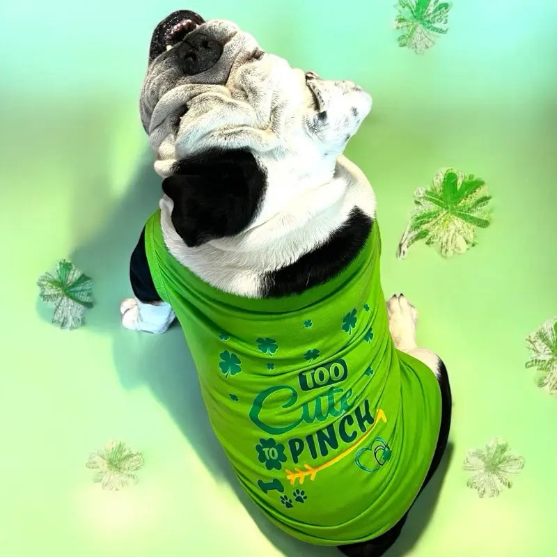Too Cute To Pinch St Patrick’s Day Dog T-Shirt - Green with St Patrick’s Day Design, Features Shamrock and Bone Graphics
