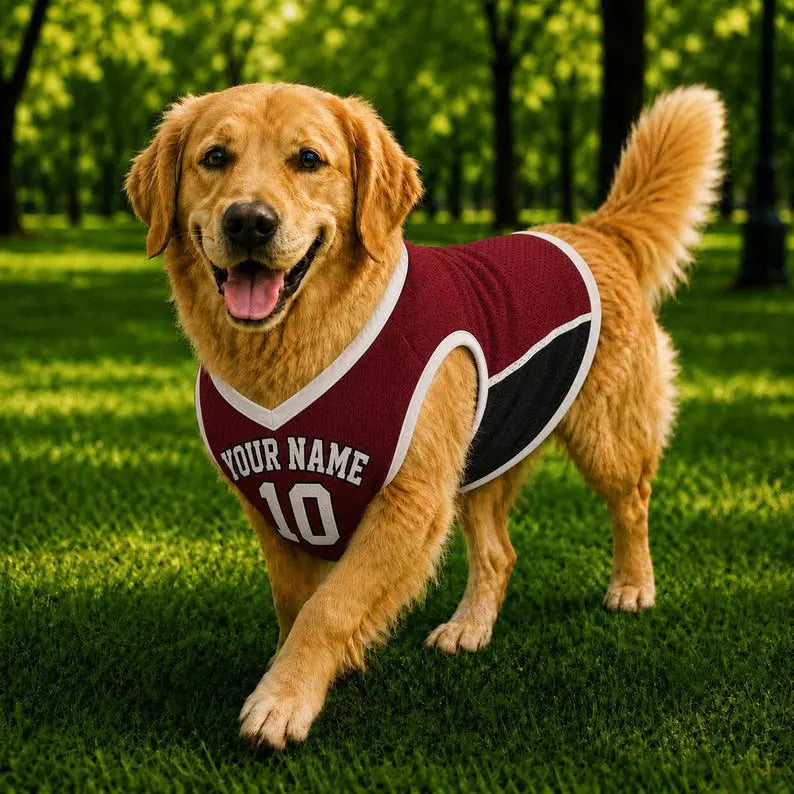 Custom Pet Basketball Jersey, Personalized Dog Cat Shirt, Name and Number Sports Outfit for Dog