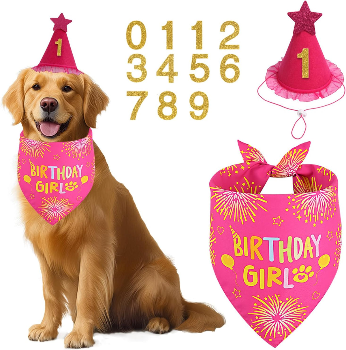 Rose Pink Girl Dog Birthday Party Supplies with Hat Bandana Numbers