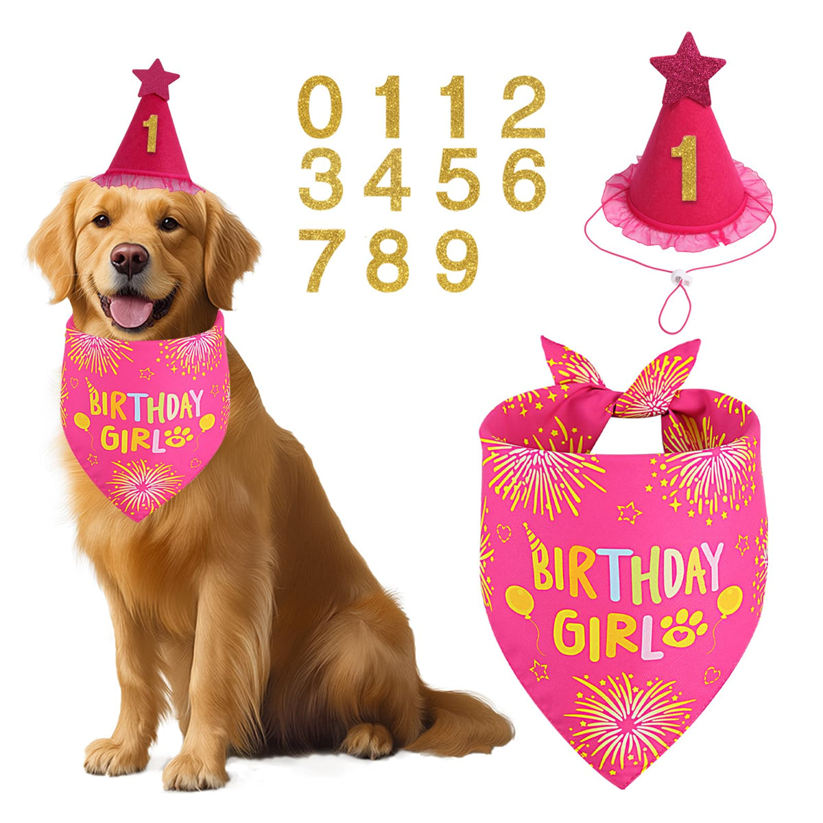 Rose Pink Girl Dog Birthday Party Supplies with Hat Bandana Numbers