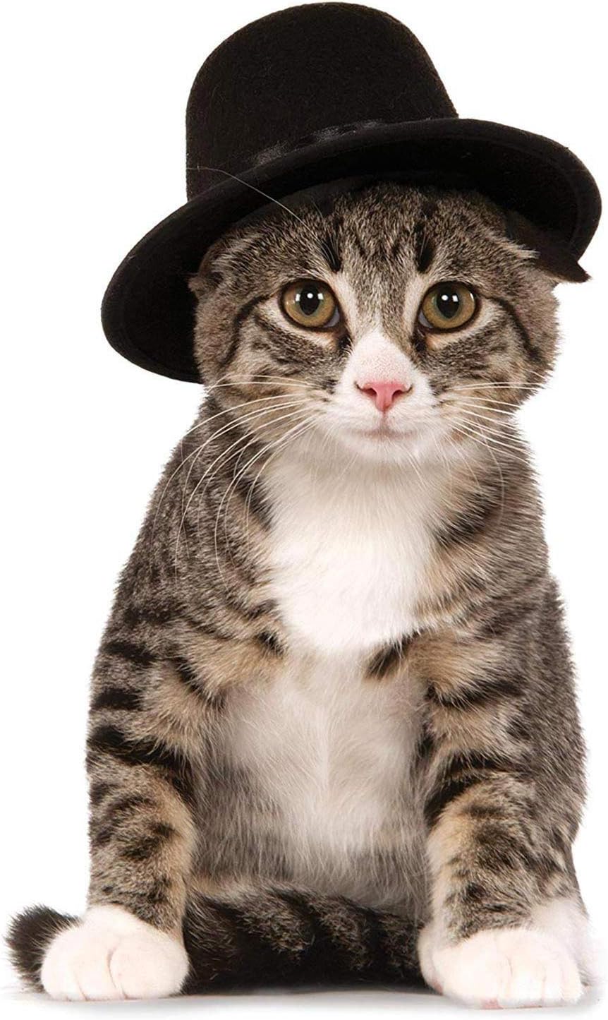 Rubies Top Hat Pet Hat for Dogs or Cats, M/L