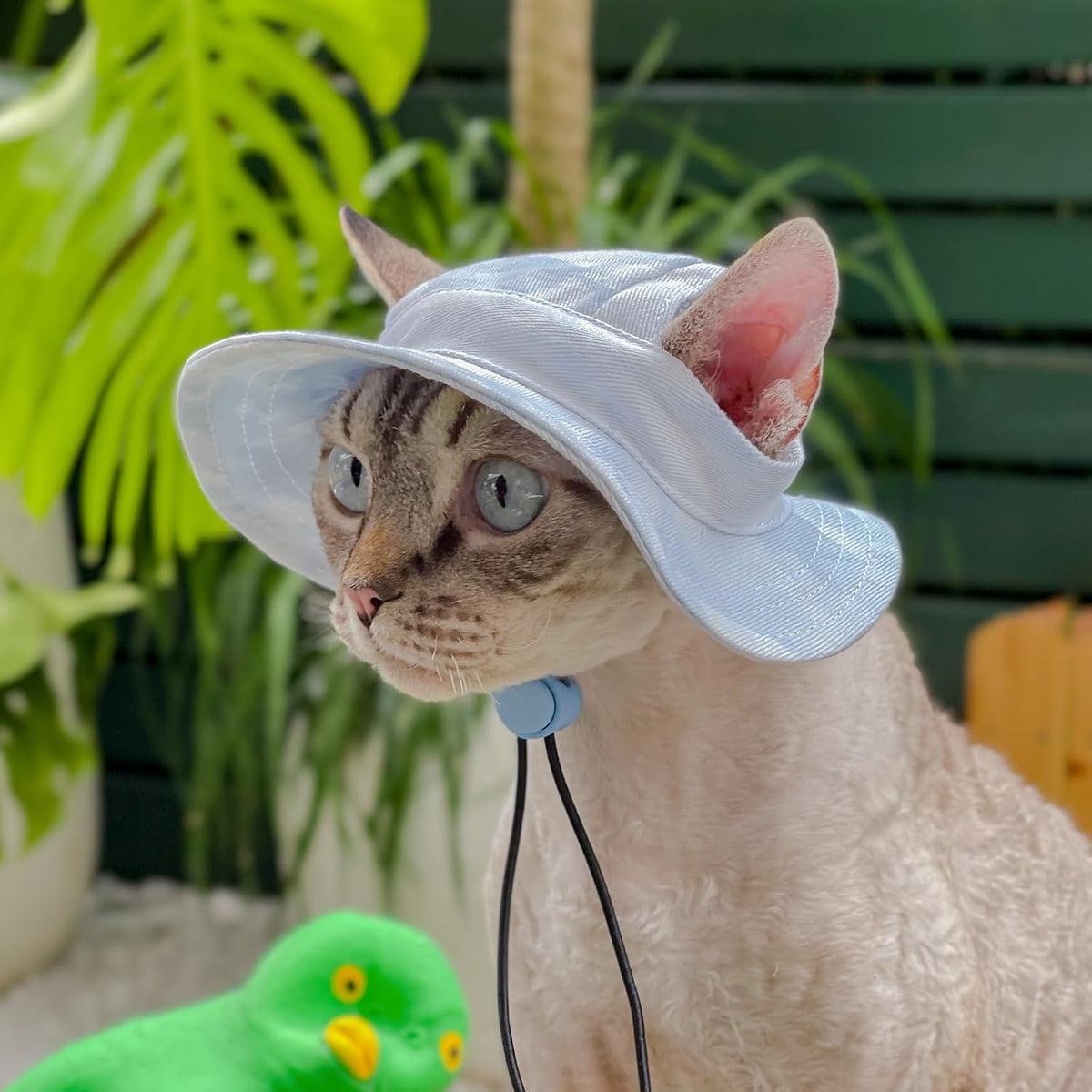 Pet hat with Ear Holes Sunscreen Baseball Cap Suitable for Small and Medium-Sized Dogs Outdoor Climbing hat in Summer Pet Products (Blue, Medium)