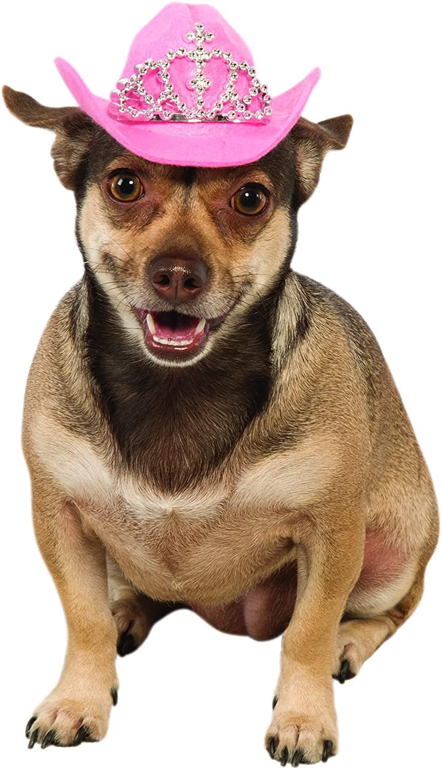 Rubies Cowgirl Pet Hat with Faux Tiara for Dogs or Cats, S/M