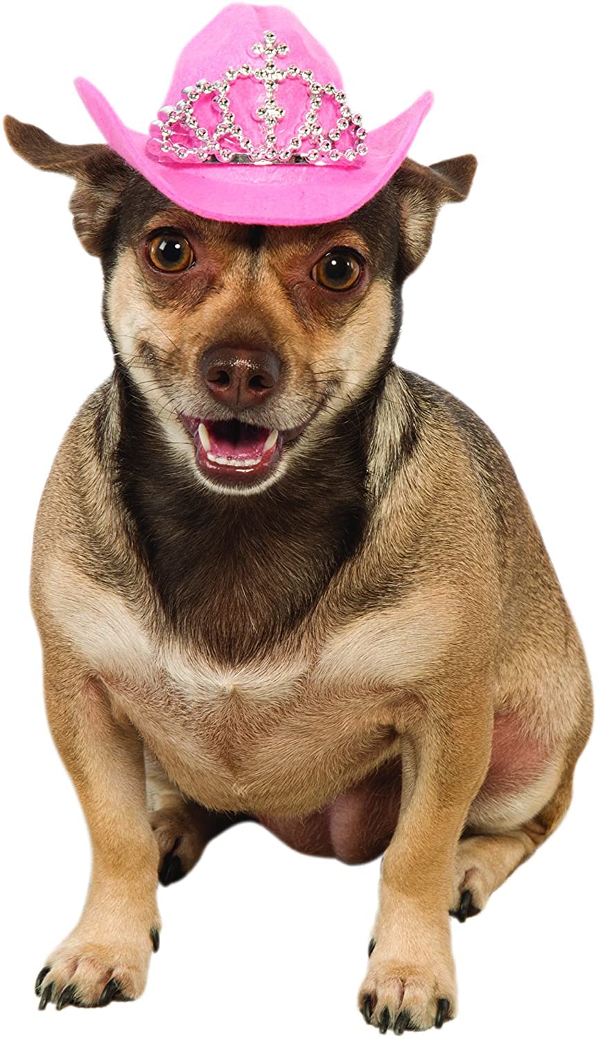 Rubies Cowgirl Pet Hat with Faux Tiara for Dogs or Cats, S/M