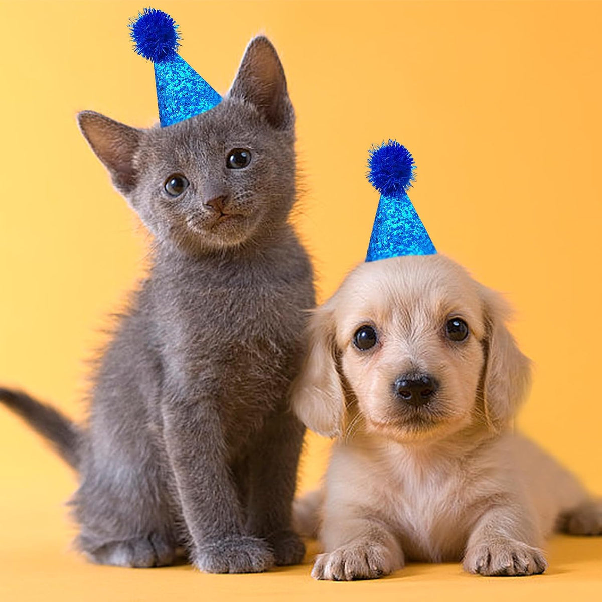 PET SHOW 10 Pack Mini Small Dog Party Hats
