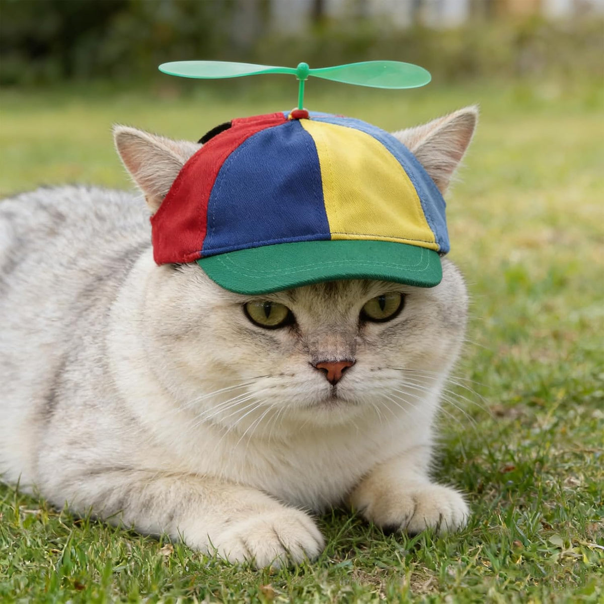 Dog Propeller Hat Funny Pet Rainbow Helicopter Design Baseball Cap Adjustable Pet Sun Protection Summer Outdoor Sun Hat Party Decoration Photo Headwear Outfit for Small Dog & Cat S Size