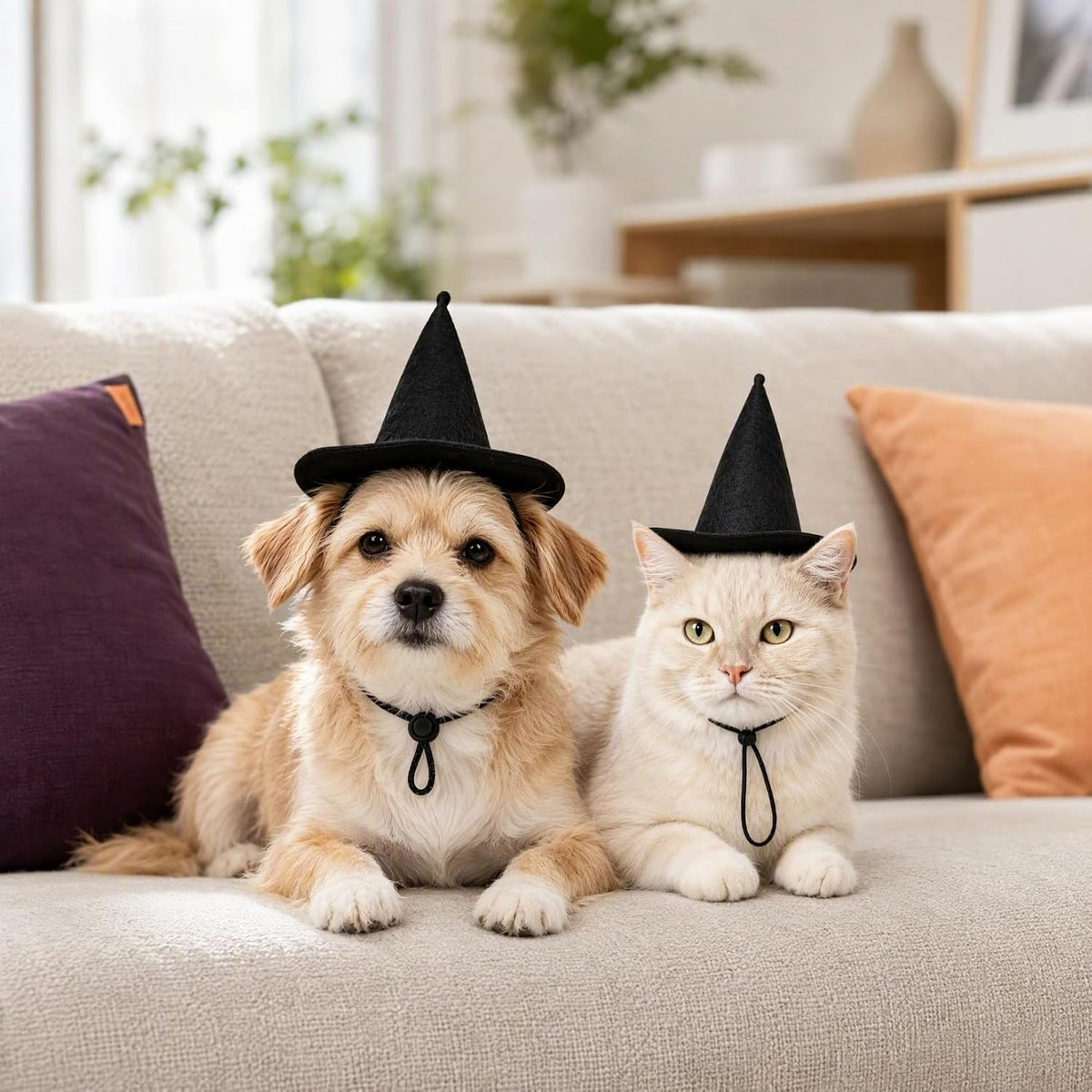 YARNOW 2 Pcs Dog Witch Hat Halloween Pet Hat Halloween Witch for Dog Cat Pet Costume Accessories, 17.00X16.00X12.50CM, Black