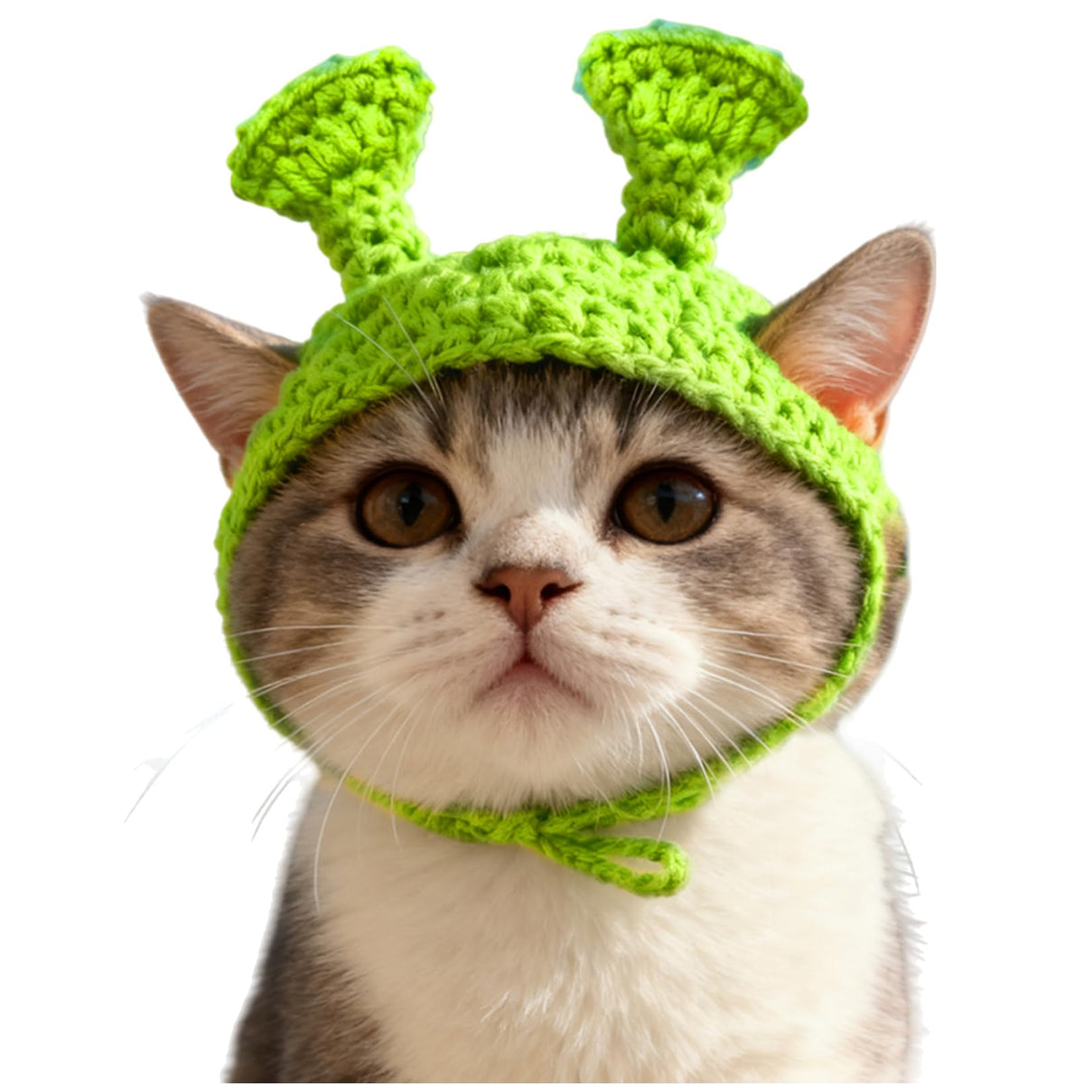 Flower Cat Hat, Cotton & Soft Cute Knitted Hats for Cats Birthday Party Spring Puppy Hat for Small Pets (Green,M)