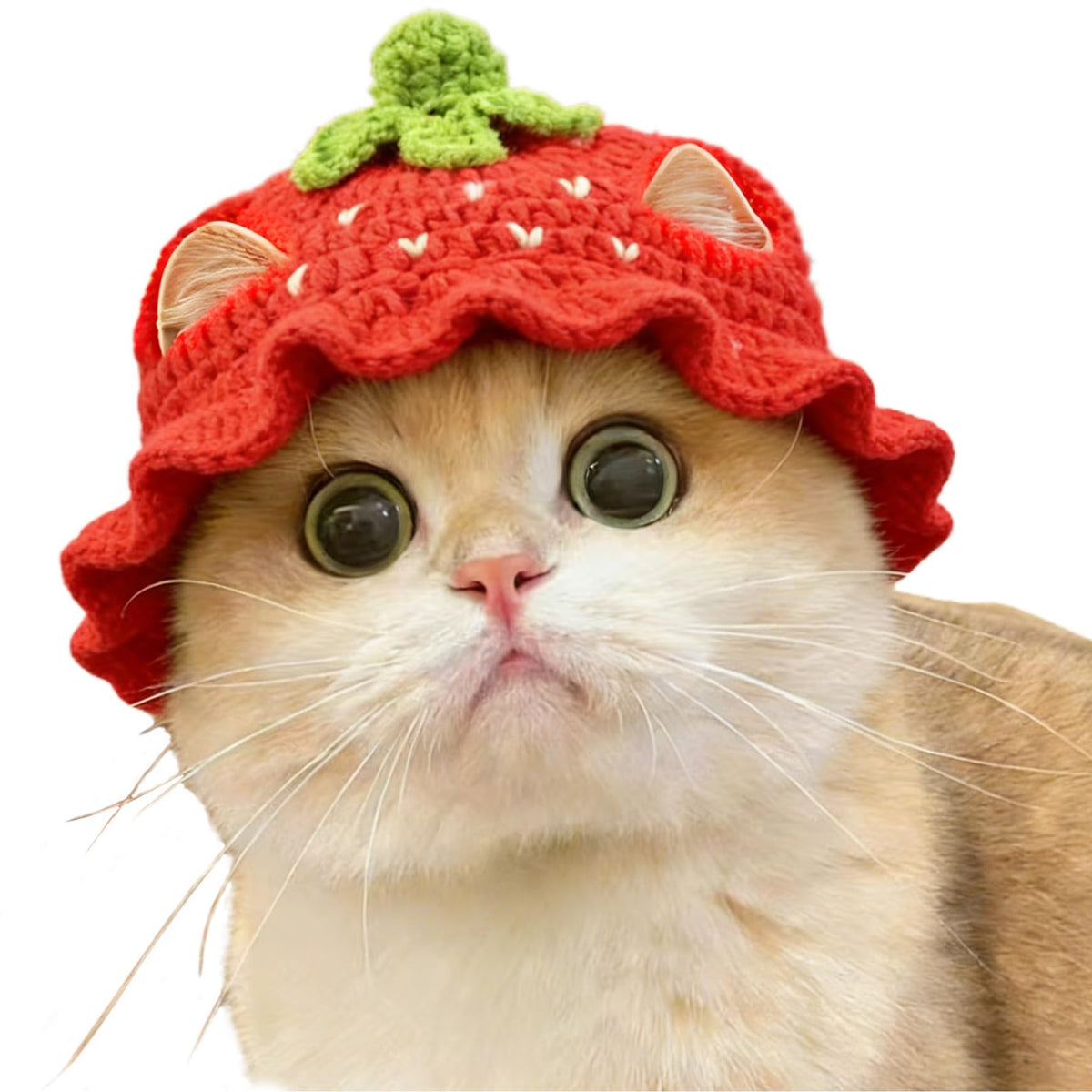 Flower Cat Hat, Cotton & Soft Cute Knitted Hats for Cats Birthday Party Spring Puppy Hat for Small Pets (Green,M)