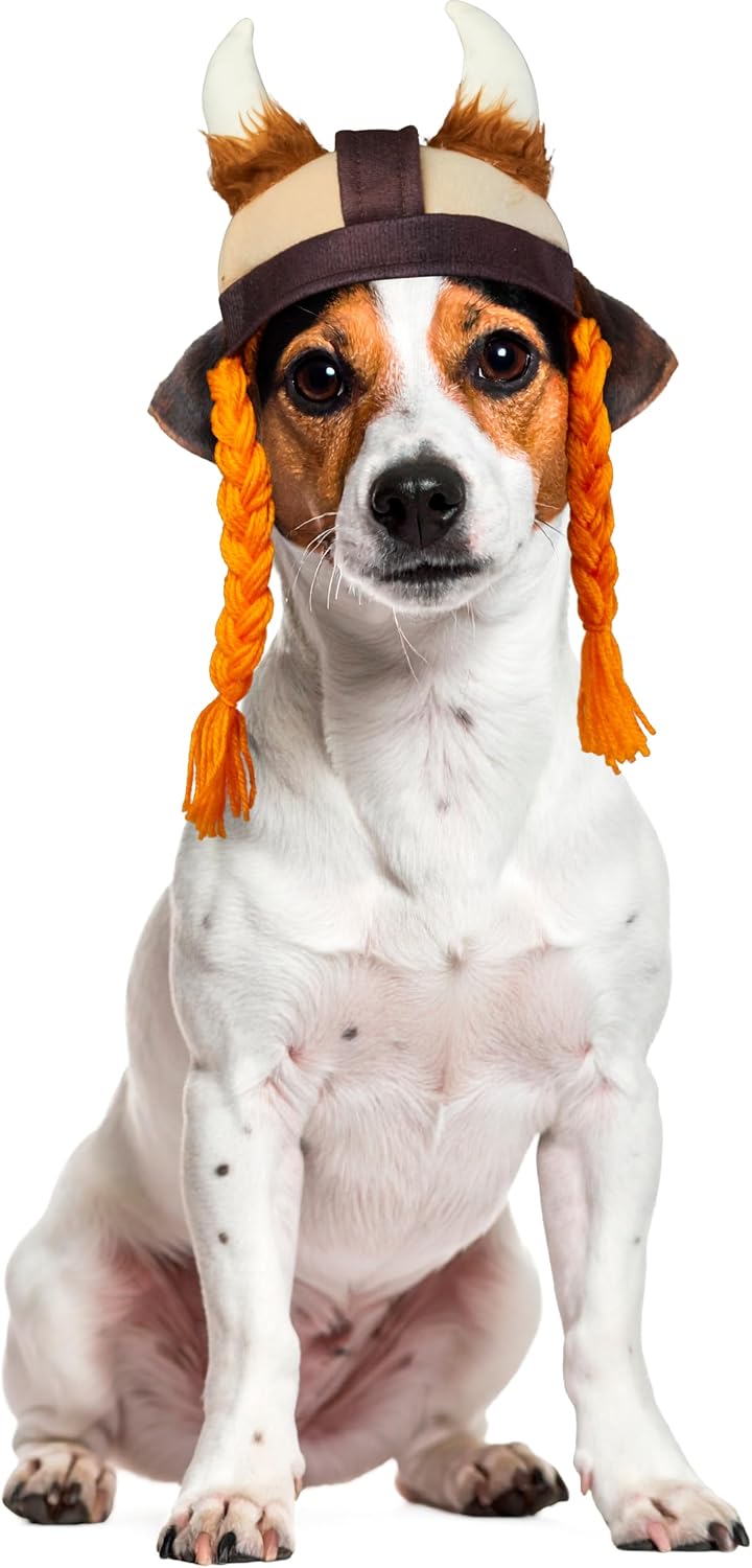 Rubies Viking Pet Hat for Dogs or Cats, M/L