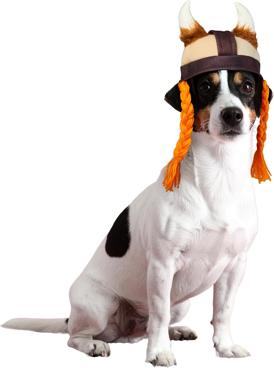 Rubies Viking Pet Hat for Dogs or Cats, M/L