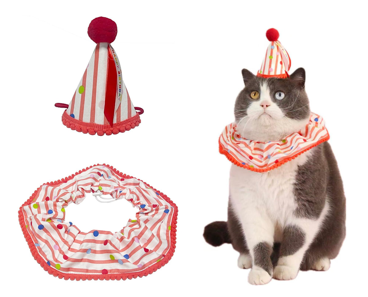 Cat Birthday Bandana Scarf and Party Hat Cute Tassel Scarf and Birthday Hat