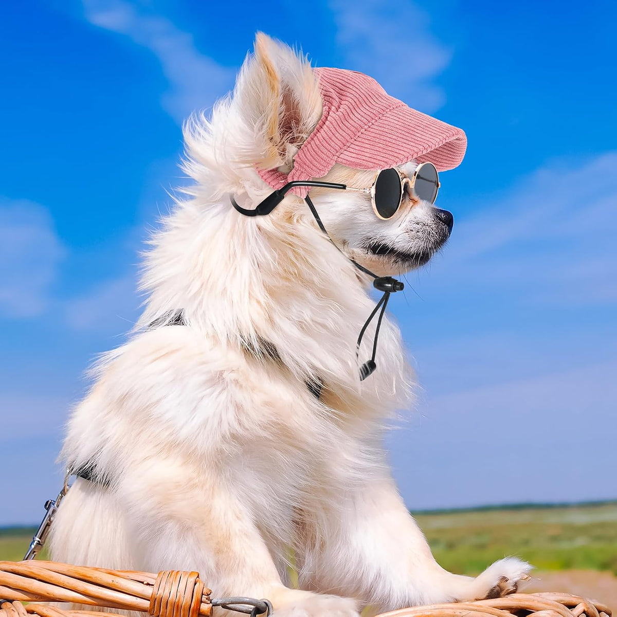 Jadive Small Dog Sun Hat with Ear Holes Dog Sunglasses, Pink