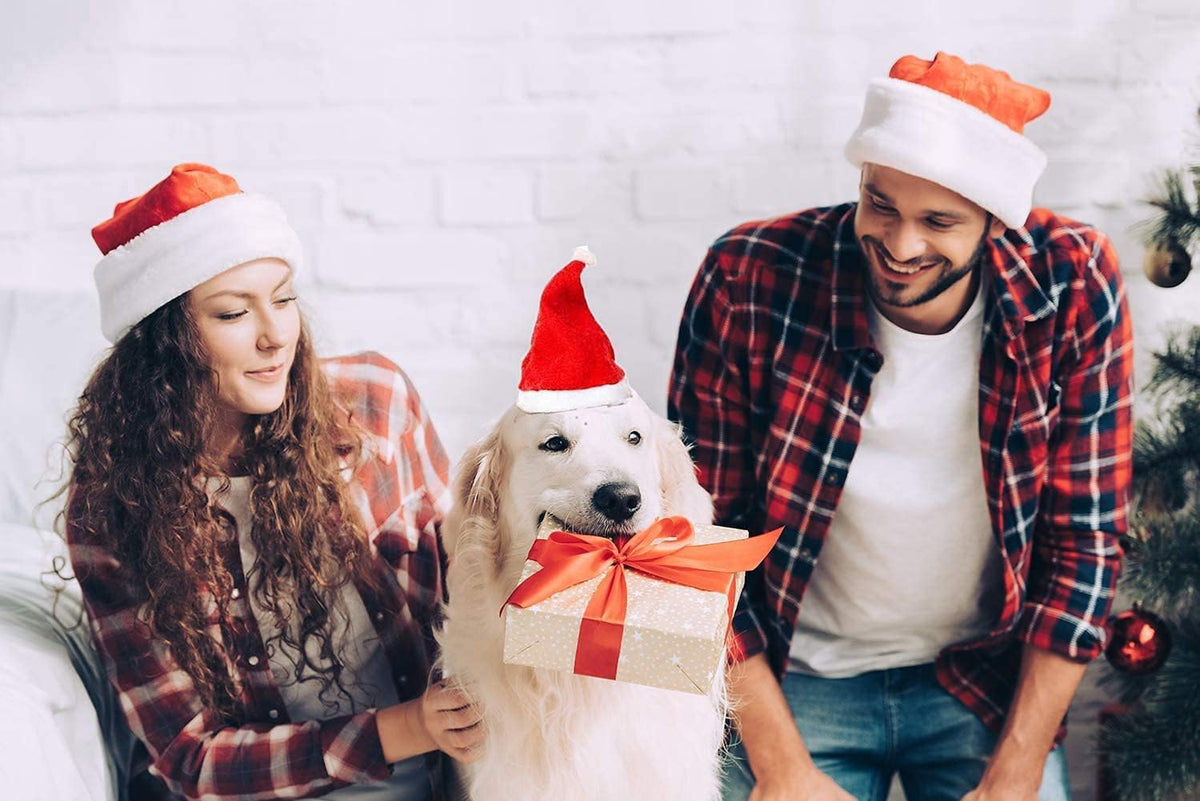 6 Pcs Dog Cat Pet Santa Hat Christmas Pet Costumes Small Santa Hat Pet Christmas Photo Props for Puppy Kitten Small Cats Dogs