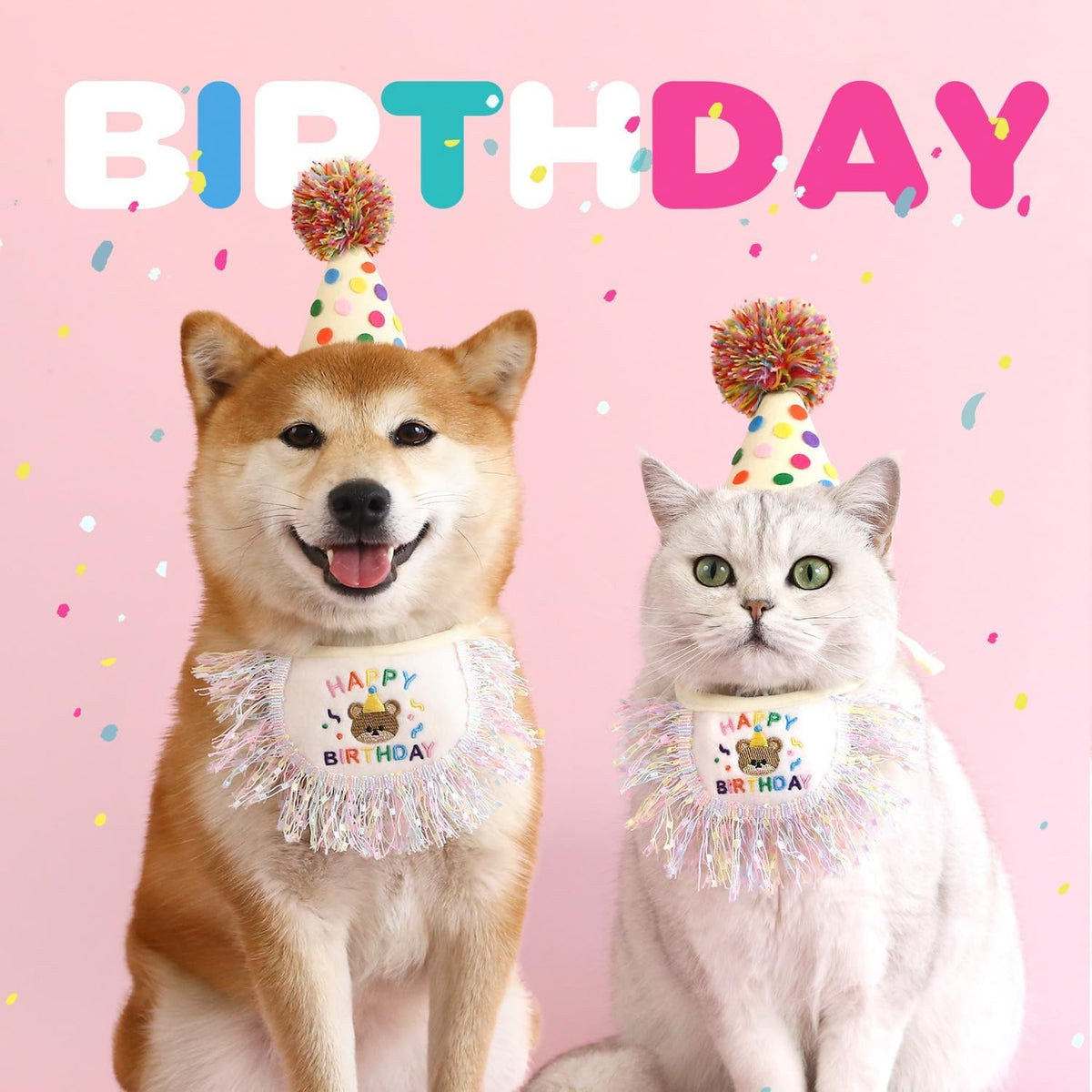 Cat Birthday Bandana Scarf and Party Hat Cute Tassel Scarf and Birthday Hat
