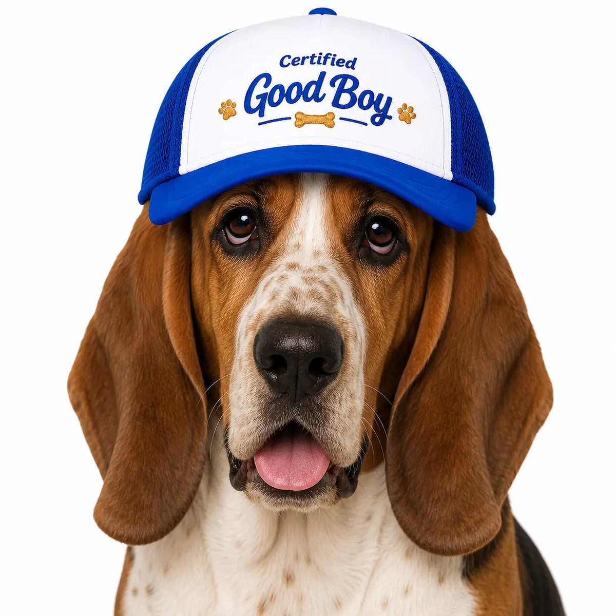 Veterinarian-Certified UV Protection Fabric Dog Foam Trucker Hat - Furfect Fit System, Multi-Size (Small,Large), Cool Ventilation, Adjustable Chin Strap, Eye Safety, All-Seasons Mesh Cap for Sun Adventures, Universal Fit, Certified Good Boy Gear